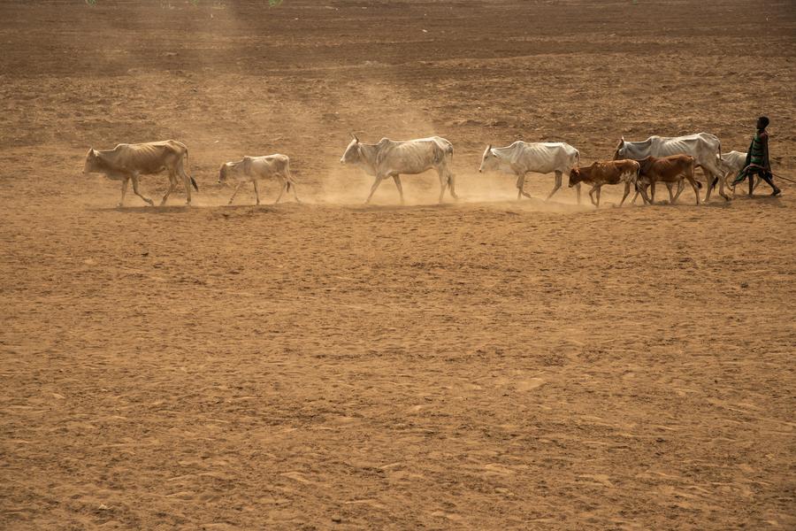 صورة الخبر