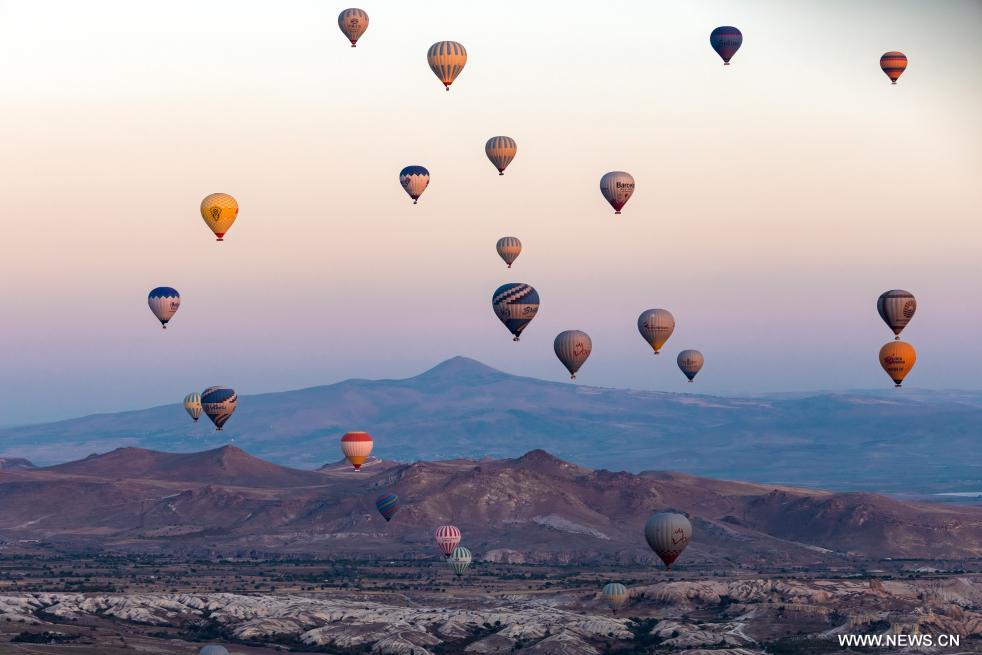 صورة الخبر