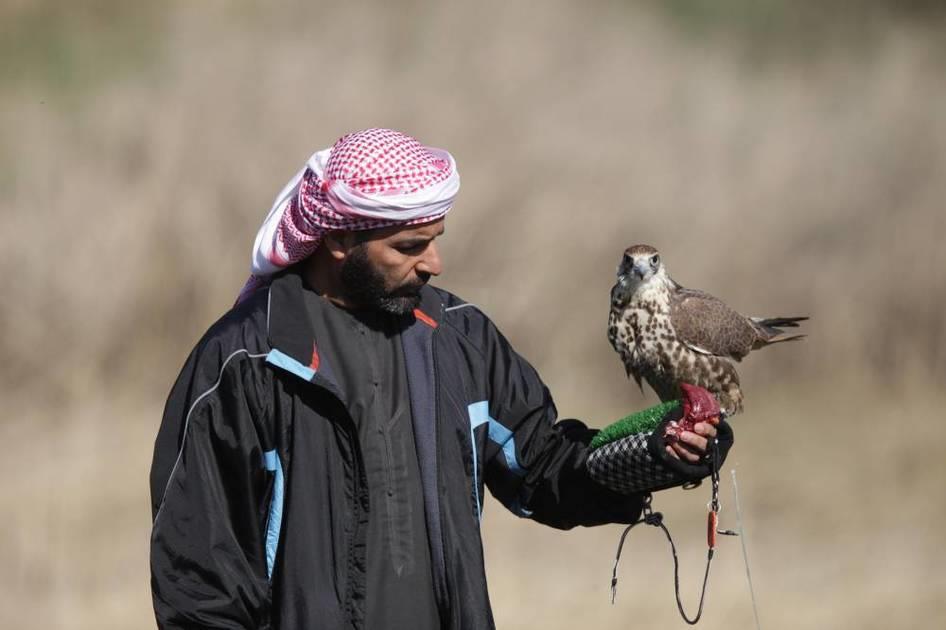 صورة الخبر