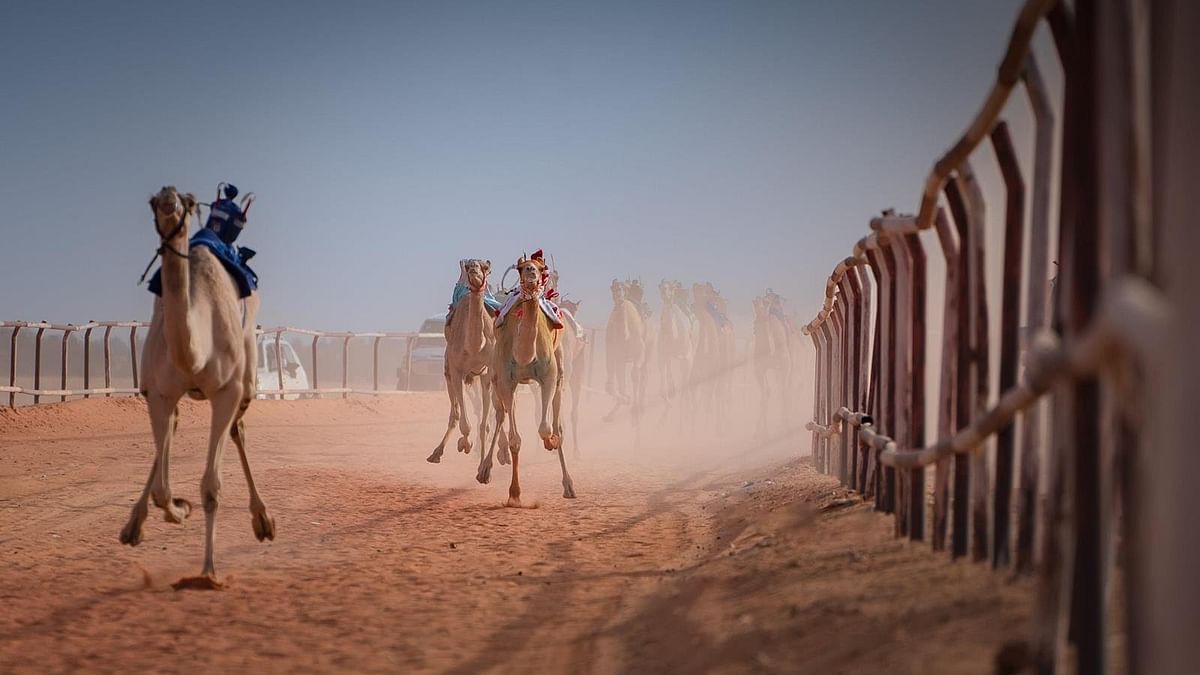 صورة الخبر