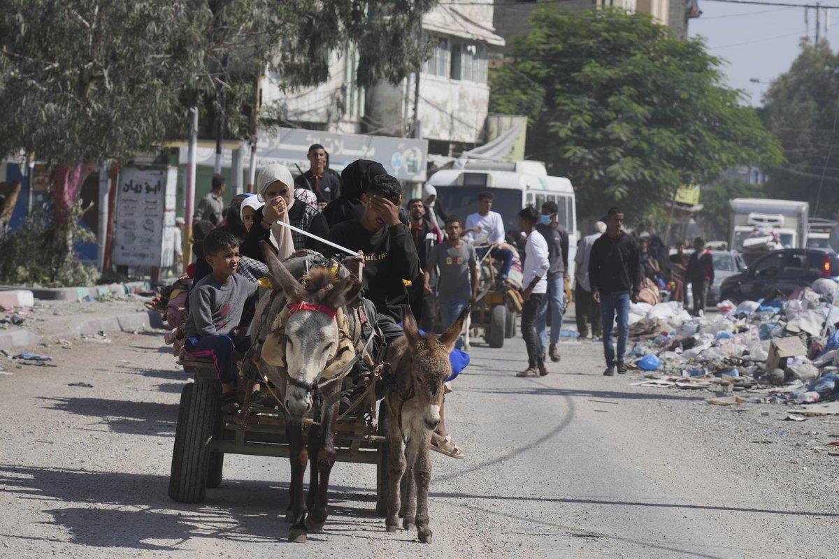 صورة الخبر