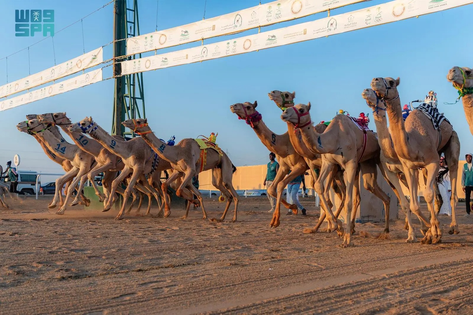 صورة الخبر