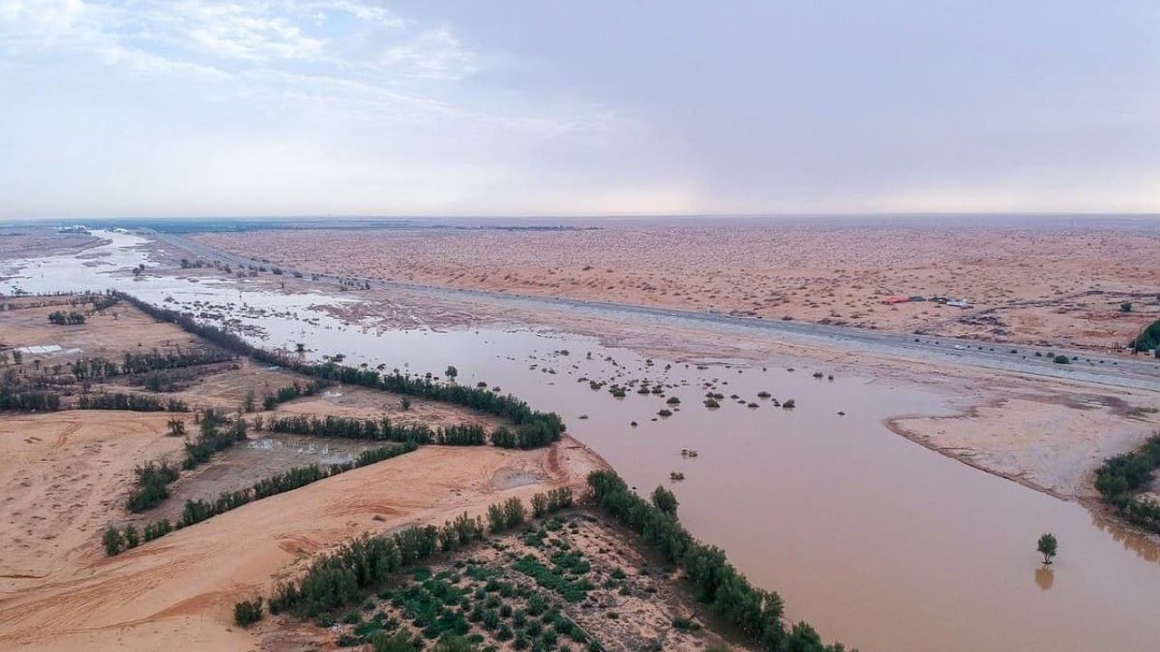 صورة الخبر