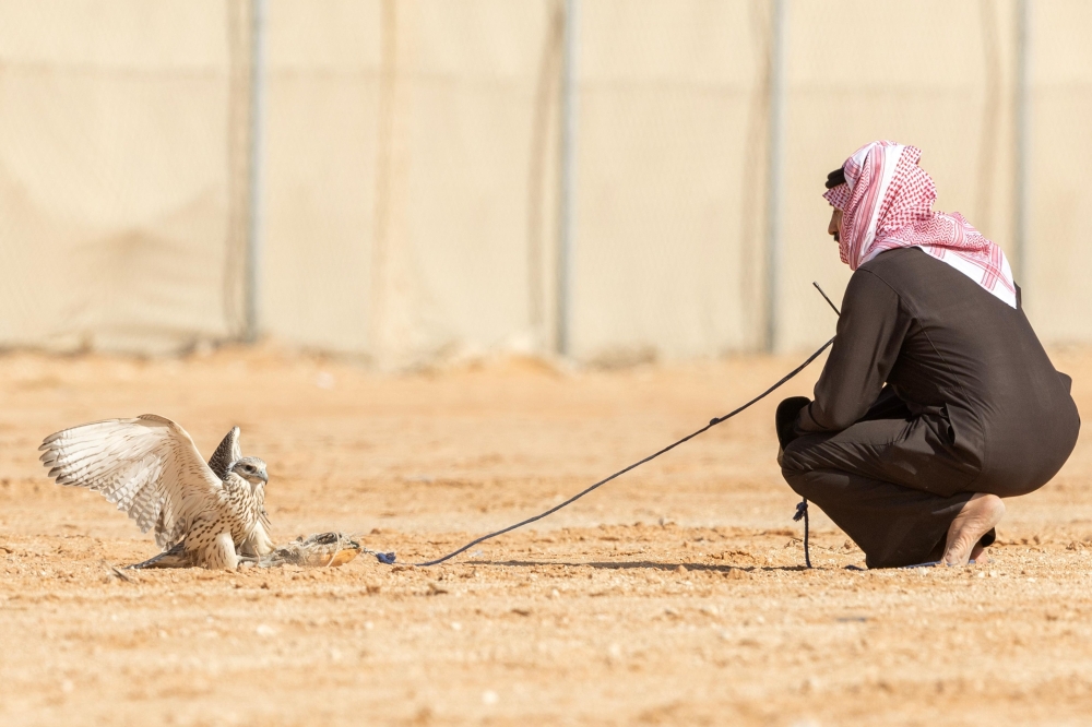 صورة الخبر