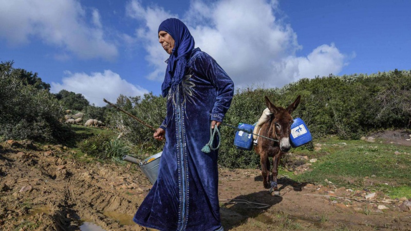 صورة الخبر