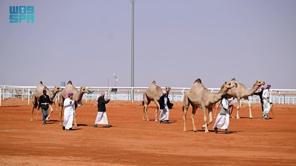 صورة الخبر