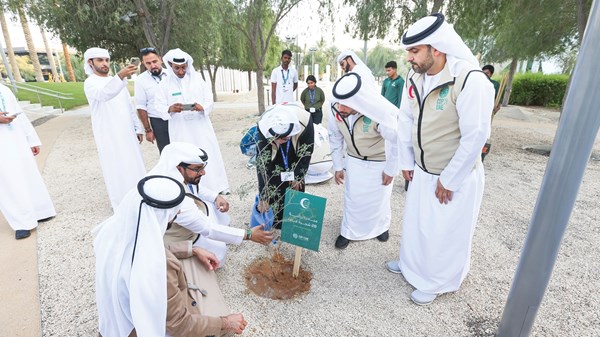 صورة الخبر