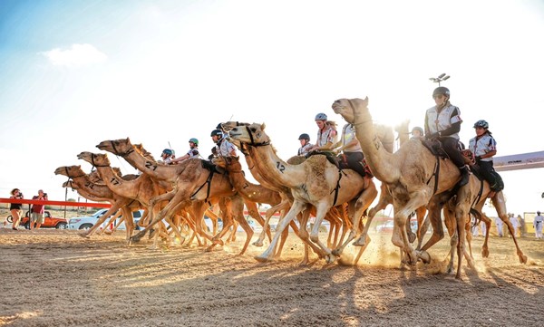 صورة الخبر