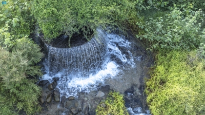 صورة الخبر