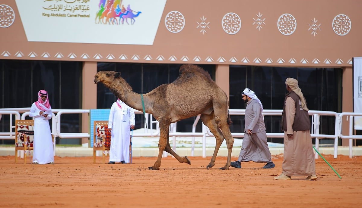 صورة الخبر