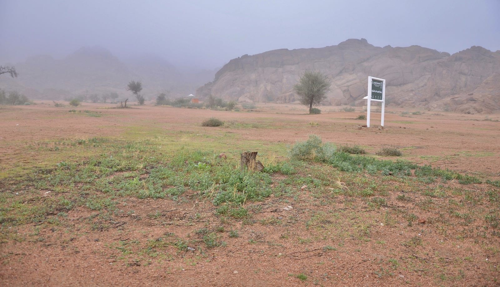 صورة الخبر