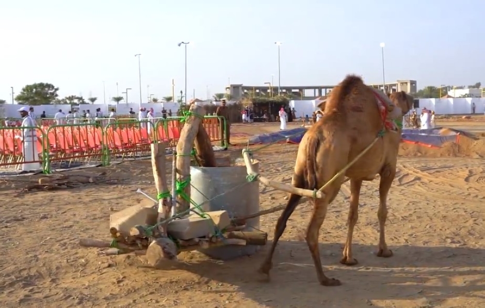 صورة الخبر