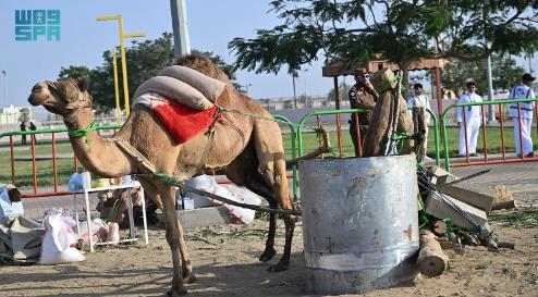 صورة الخبر