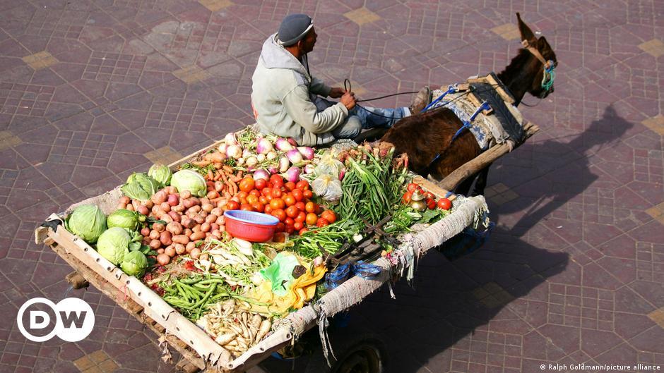 صورة الخبر