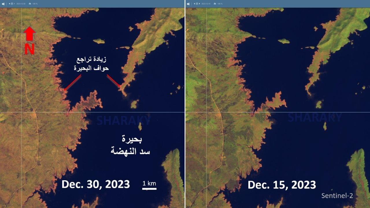 صورة الخبر