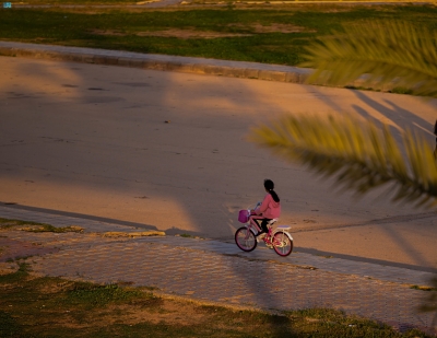 صورة الخبر