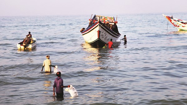 صورة الخبر