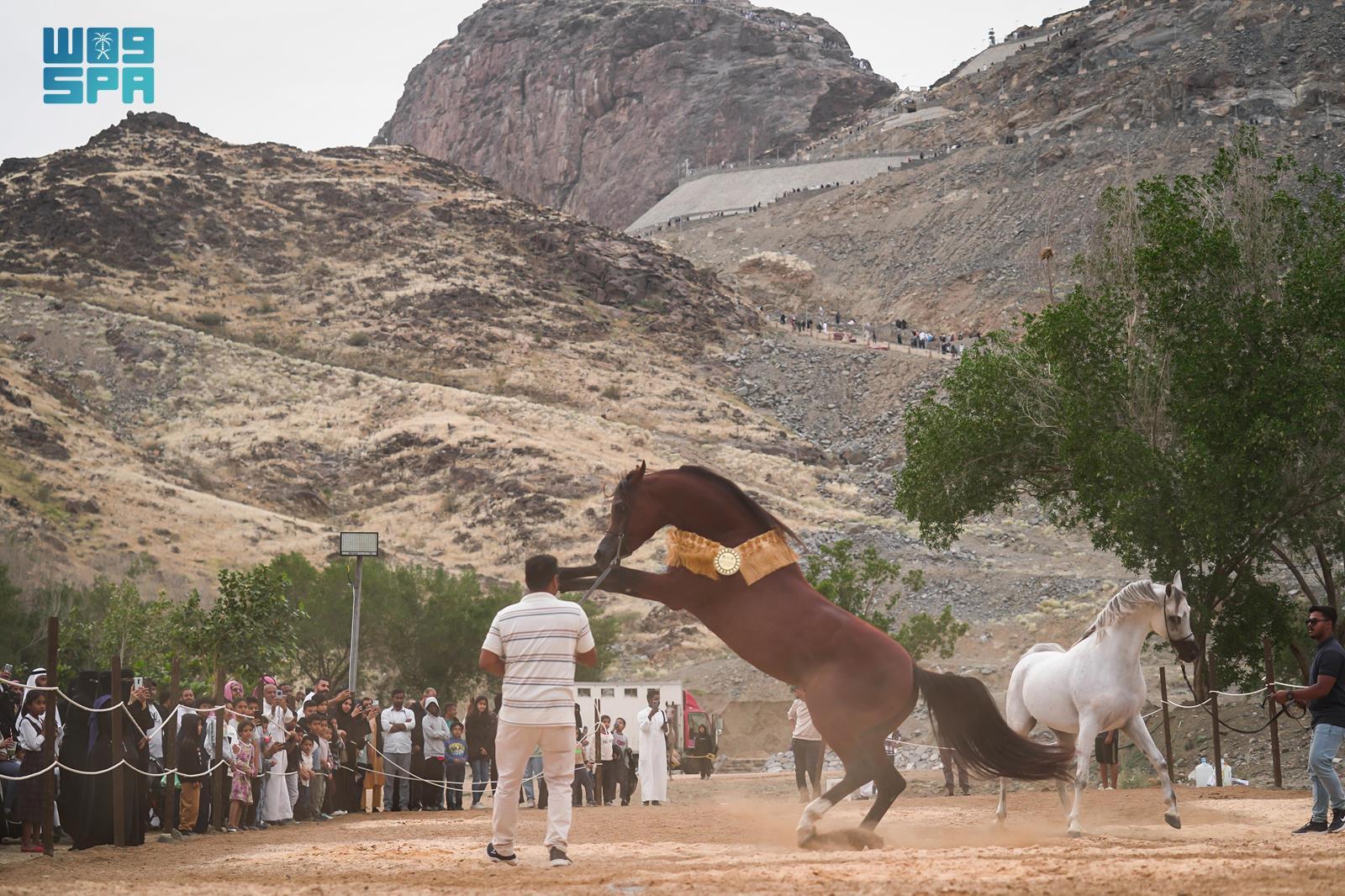 صورة الخبر