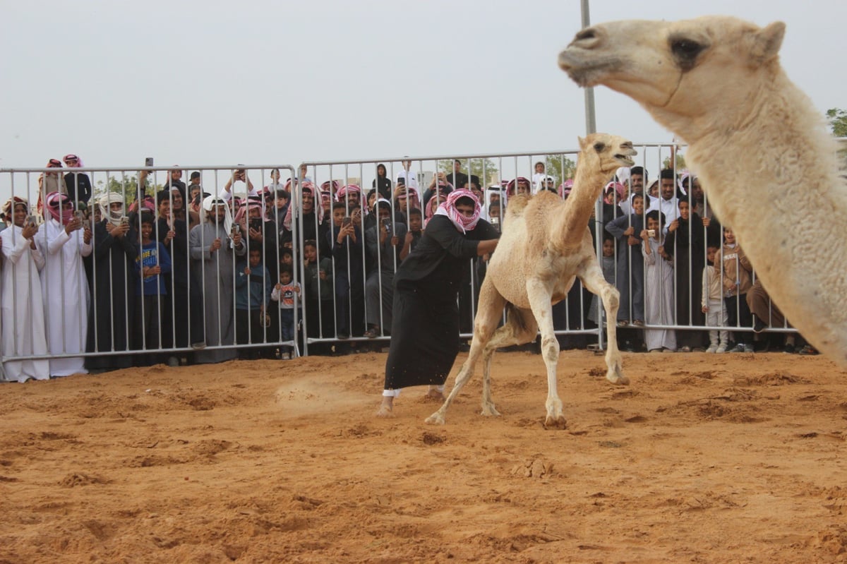 صورة الخبر