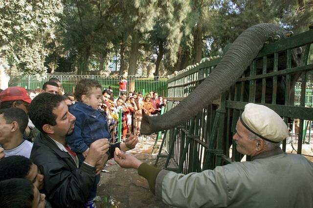 صورة الخبر