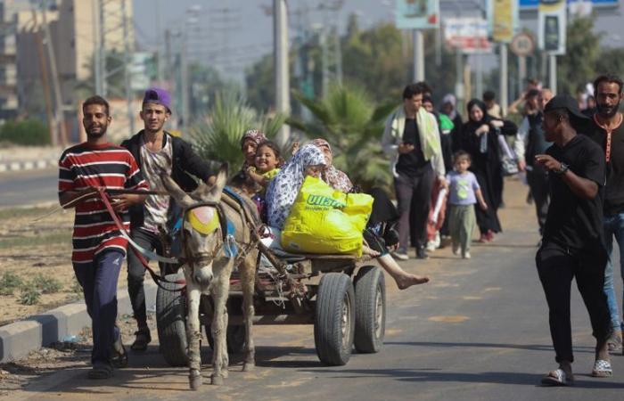 صورة الخبر