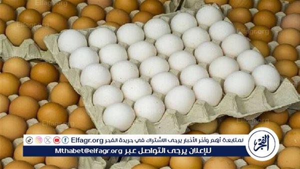 صورة الخبر