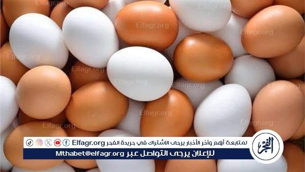 صورة الخبر