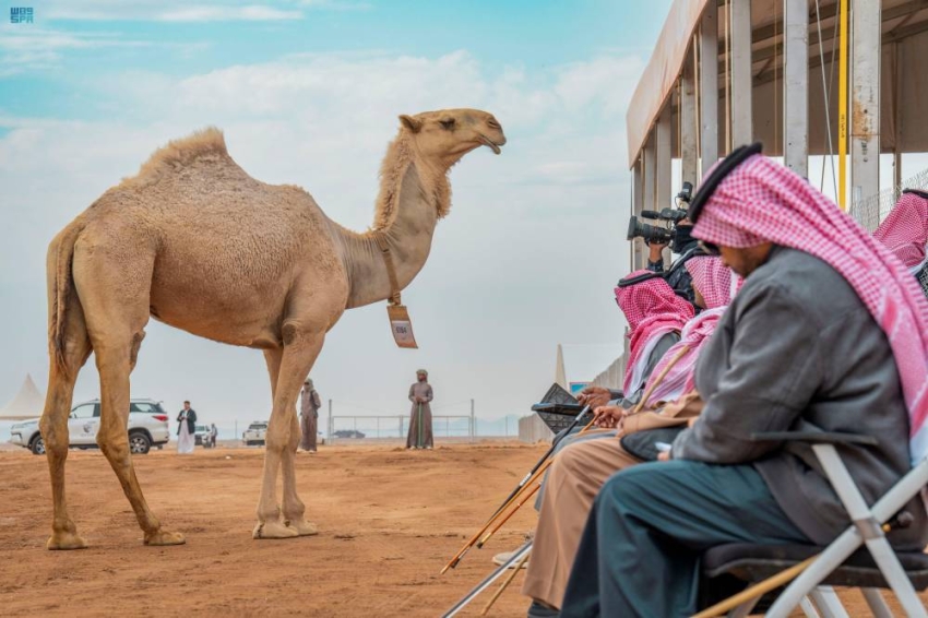 صورة الخبر