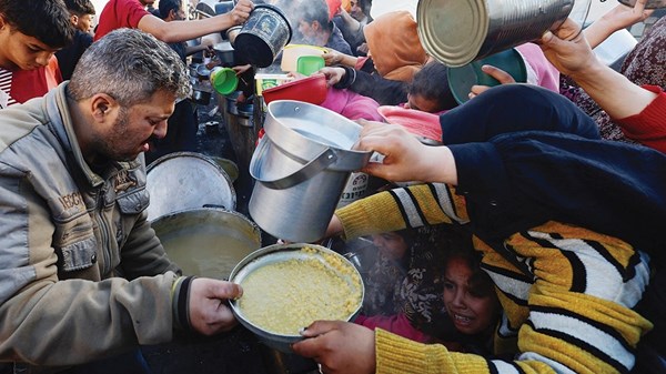 صورة الخبر