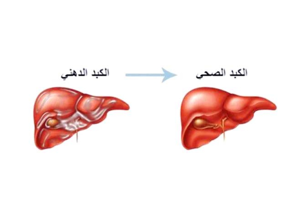 صورة الخبر