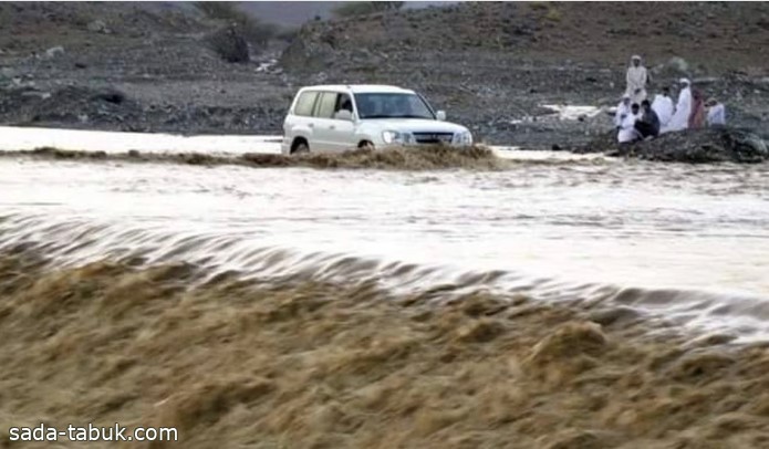 صورة الخبر