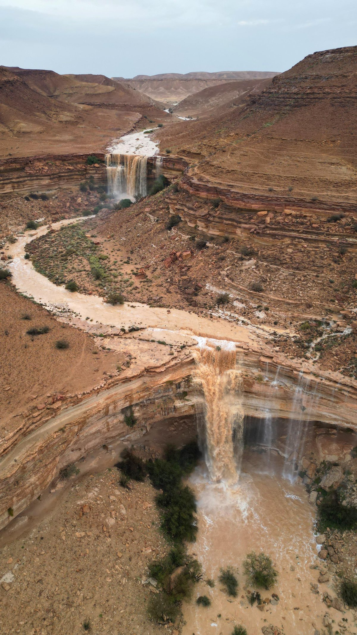 صورة الخبر