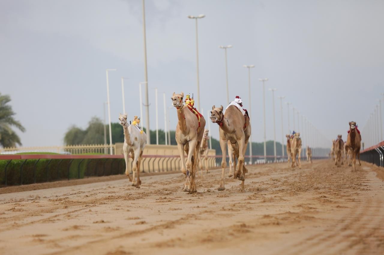 صورة الخبر