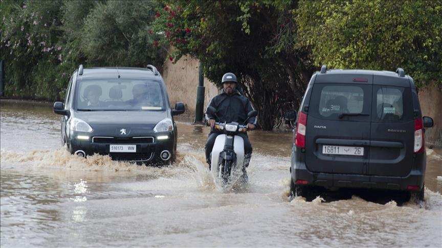 صورة الخبر