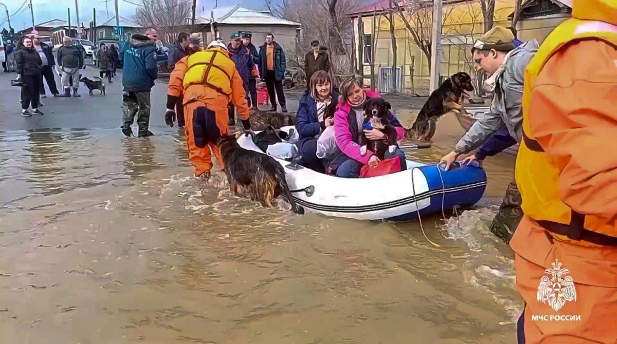 صورة الخبر