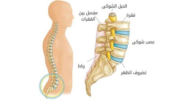 صورة الخبر