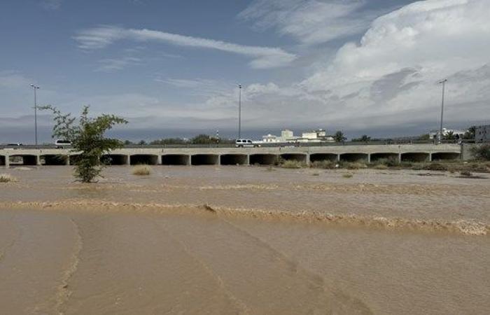 صورة الخبر