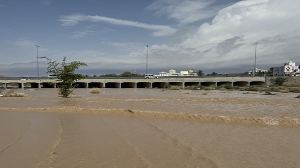 صورة الخبر