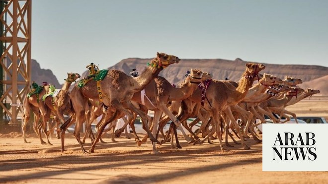 صورة الخبر