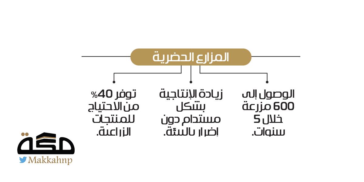 صورة الخبر