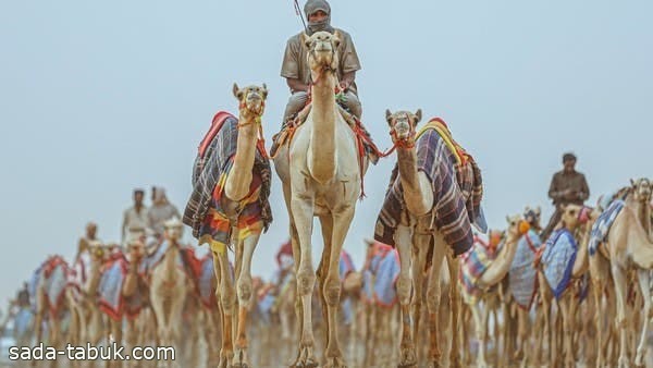 صورة الخبر