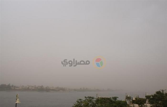 صورة الخبر