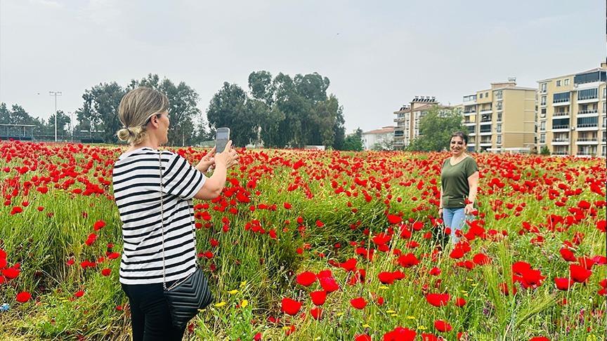 صورة الخبر