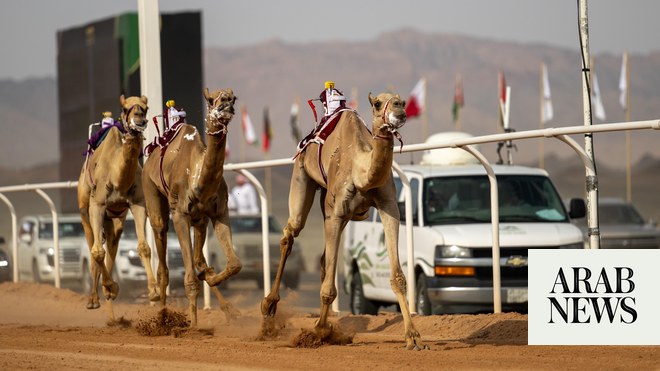 صورة الخبر