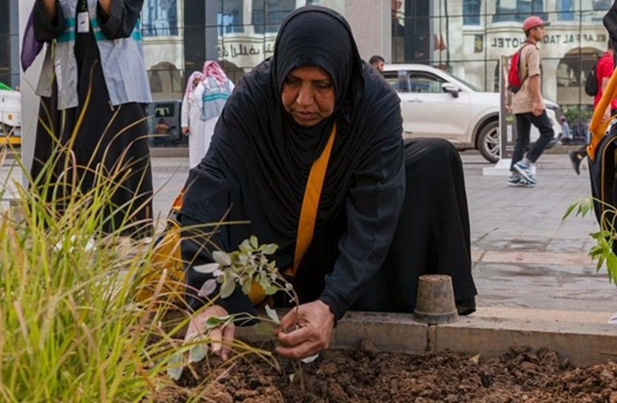 صورة الخبر