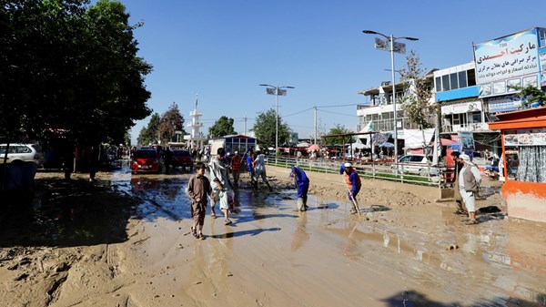 صورة الخبر