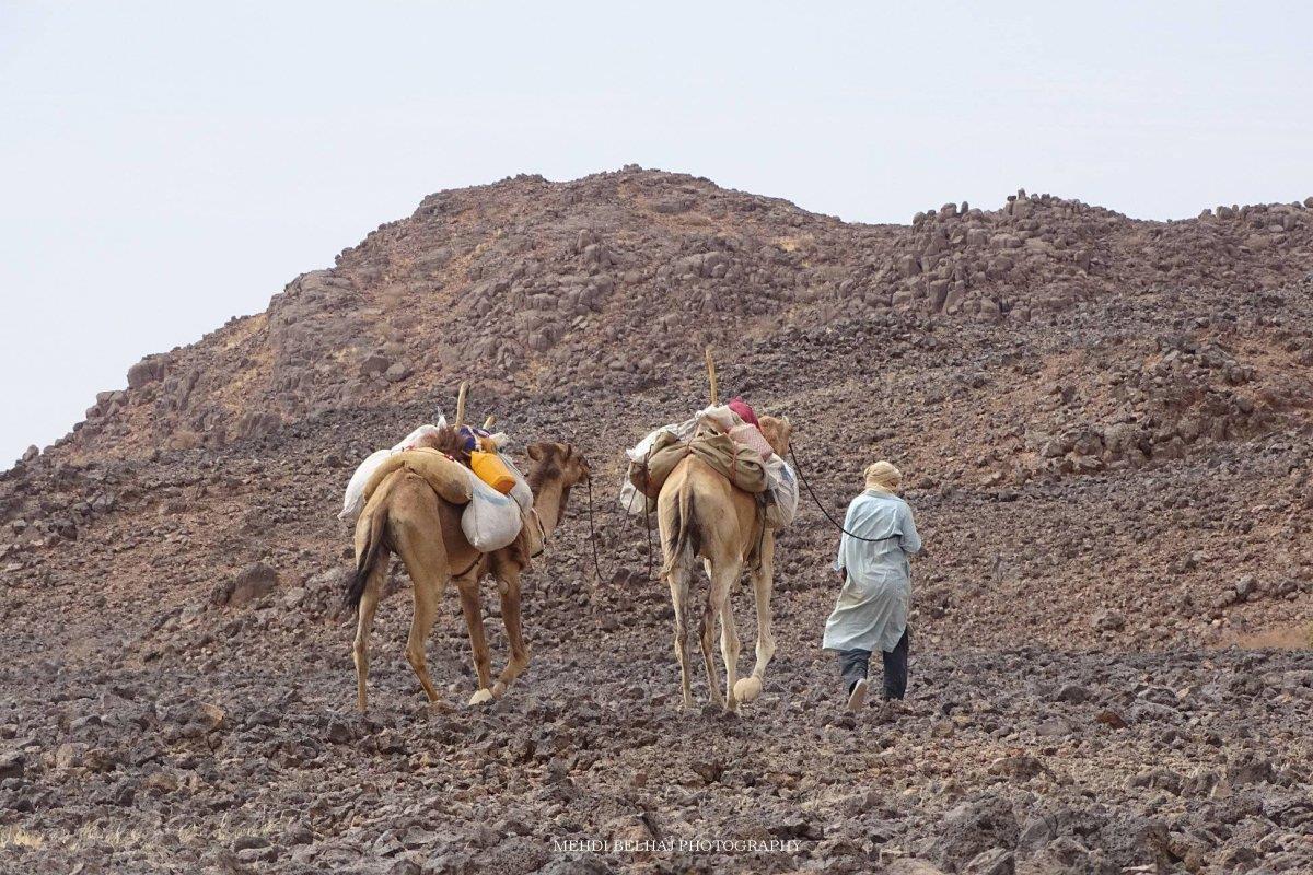 صورة الخبر