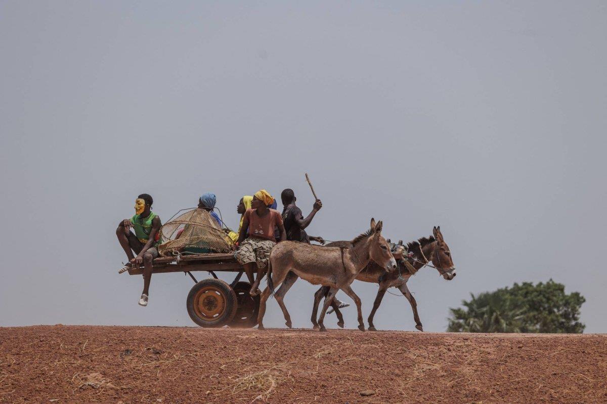 صورة الخبر