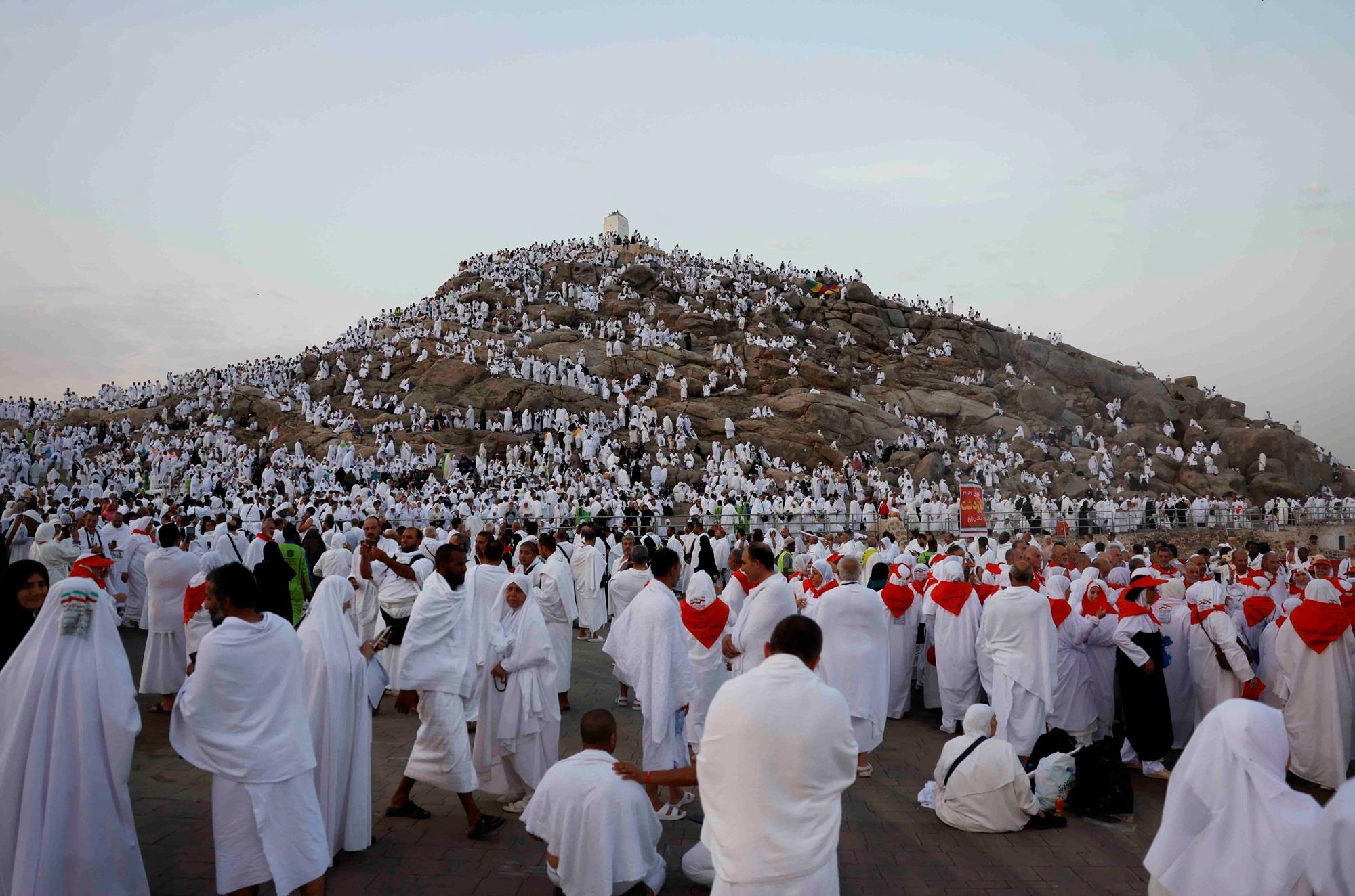 صورة الخبر