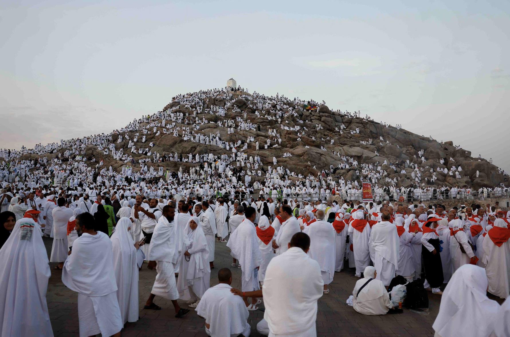 صورة الخبر